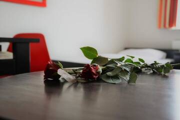 Фото номера Стандартный двухместный номер с 1 кроватью Отель Hotel Trzy Podkowy*** г. Biskupiec 10